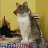 Отзыв от Ева Агеева